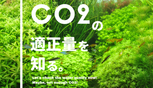 CO2の適正量を知る