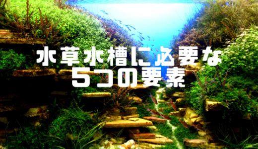 水草水槽に必要な5つに要素