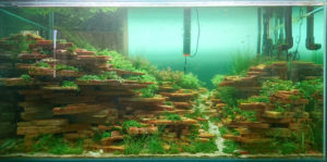 120tank