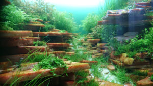 120tank