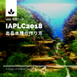 IAPLC2018vo4