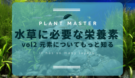 水草に必要な栄養素vol2