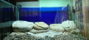 raise the substrate