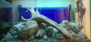 raise the substrate
