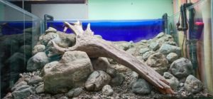 raise the substrate
