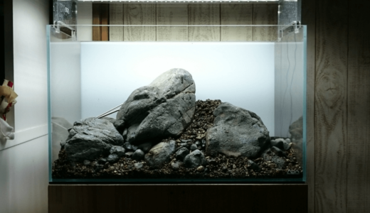 The Build a rock