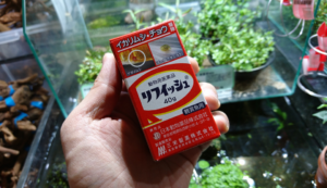 リフィッシュ