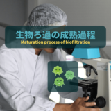 生物ろ過の成熟過程