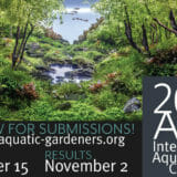AGA19Contest