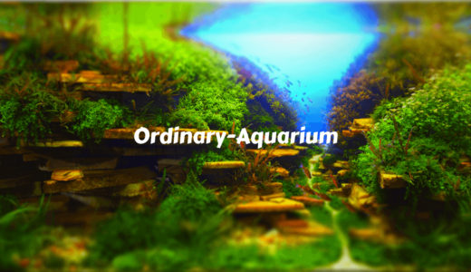 Ordinary-Aquarium