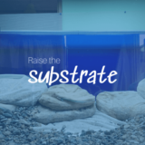 Raise the substrate