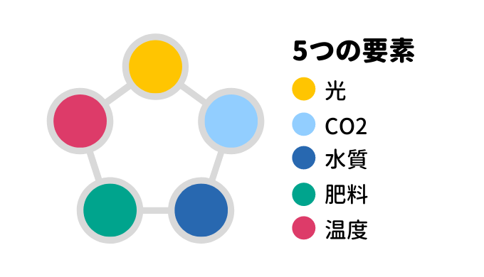 水草の色が薄い 水草の栄養不足の見分け方と対策 ー肥料を入れる前にまずは確認 ー Ordinary Aquarium