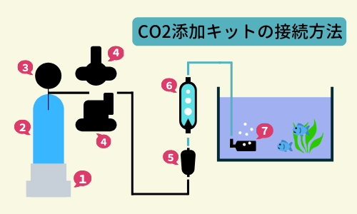 Co2添加を始めよう 高圧ボンベ式co2添加キットのセッティング方法 Ordinary Aquarium