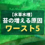 苔の増殖原因