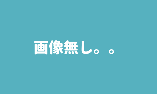 画像無し