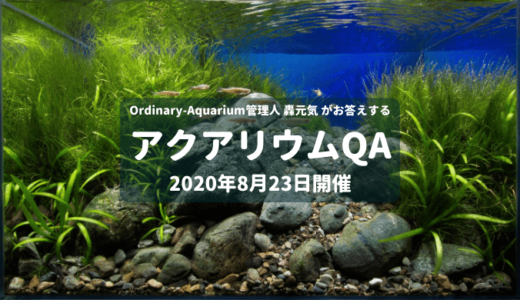 2020年8月23日開催 アクアリウムQA