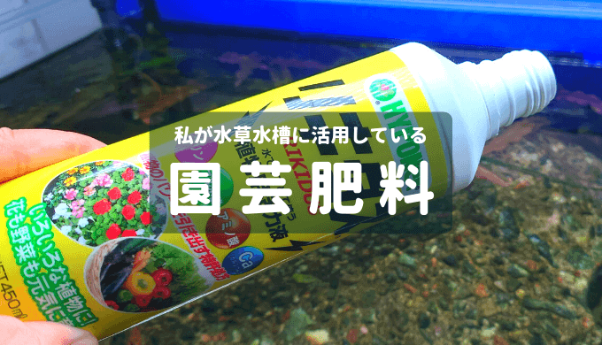 私が水草水槽に活用している園芸肥料 | Ordinary-Aquarium