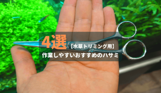 水草トリミング用 作業しやすいおすすめのハサミ4選 Ordinary Aquarium