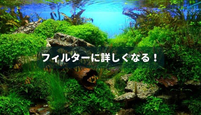 フィルターに詳しくなる！