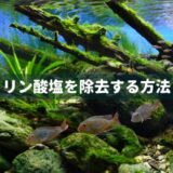 リン酸塩を除去する方法